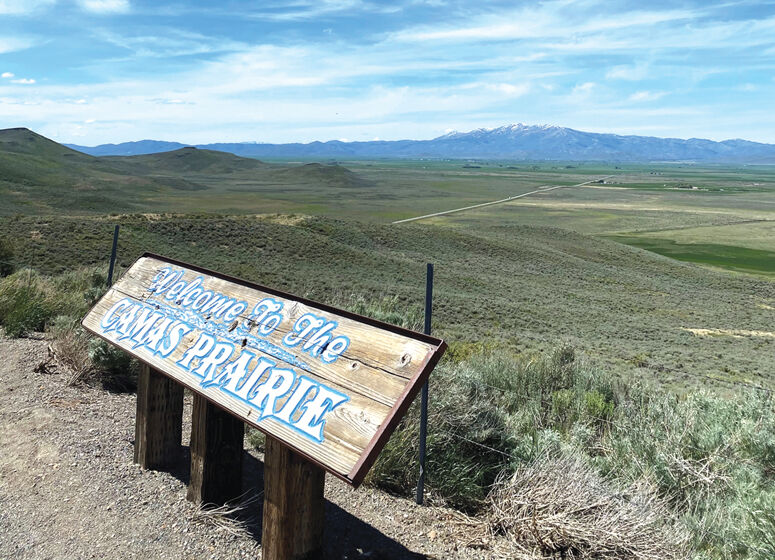 Camas Prairie